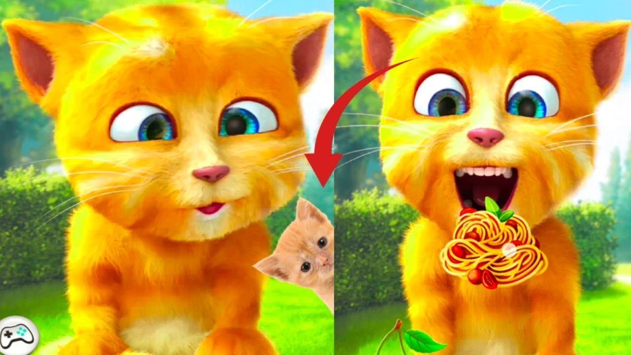 talking ginger 2 funny videos || 🙀😹🐈🐒