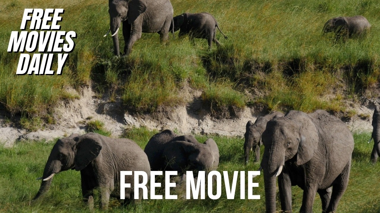 Nature&rsquo;s Ultimate Transformation: How Animals Evolved to Survive | FREE MOVIE