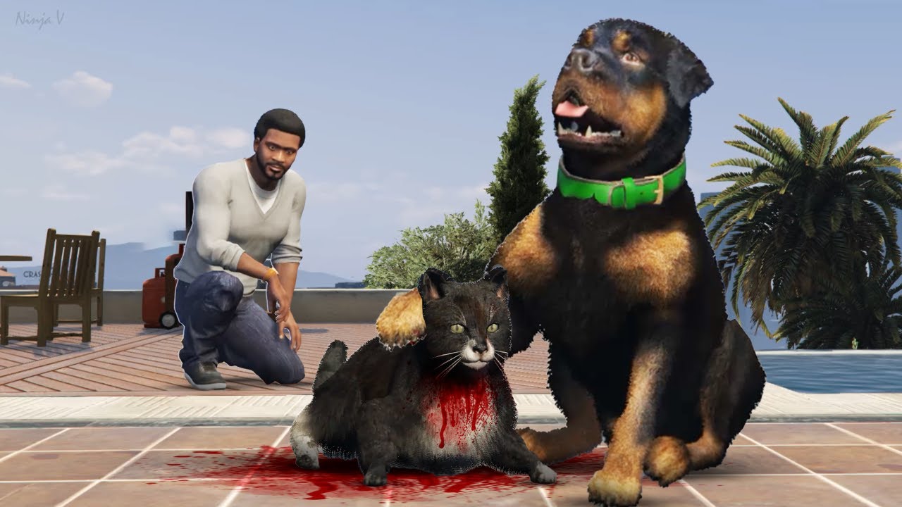 GTA V - Franklin Adopted an Cat