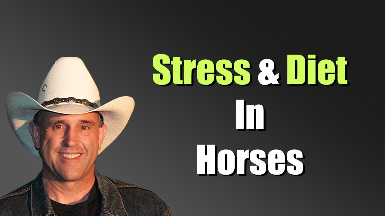 What is Hormesis? Geoff Tucker, DVM explains the relationship between stress and diet in horses.