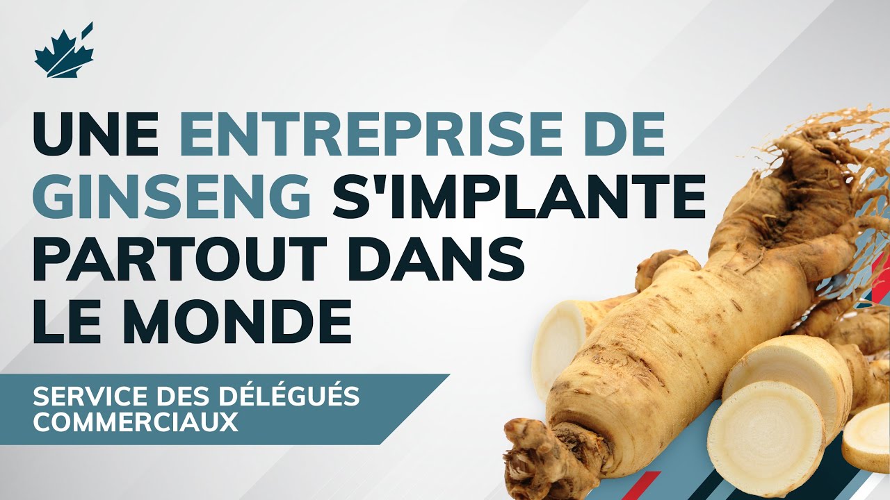 Du Canada au Vietnam, un jeune entrepreneur exporte du ginseng à l’aide du PTPGP
