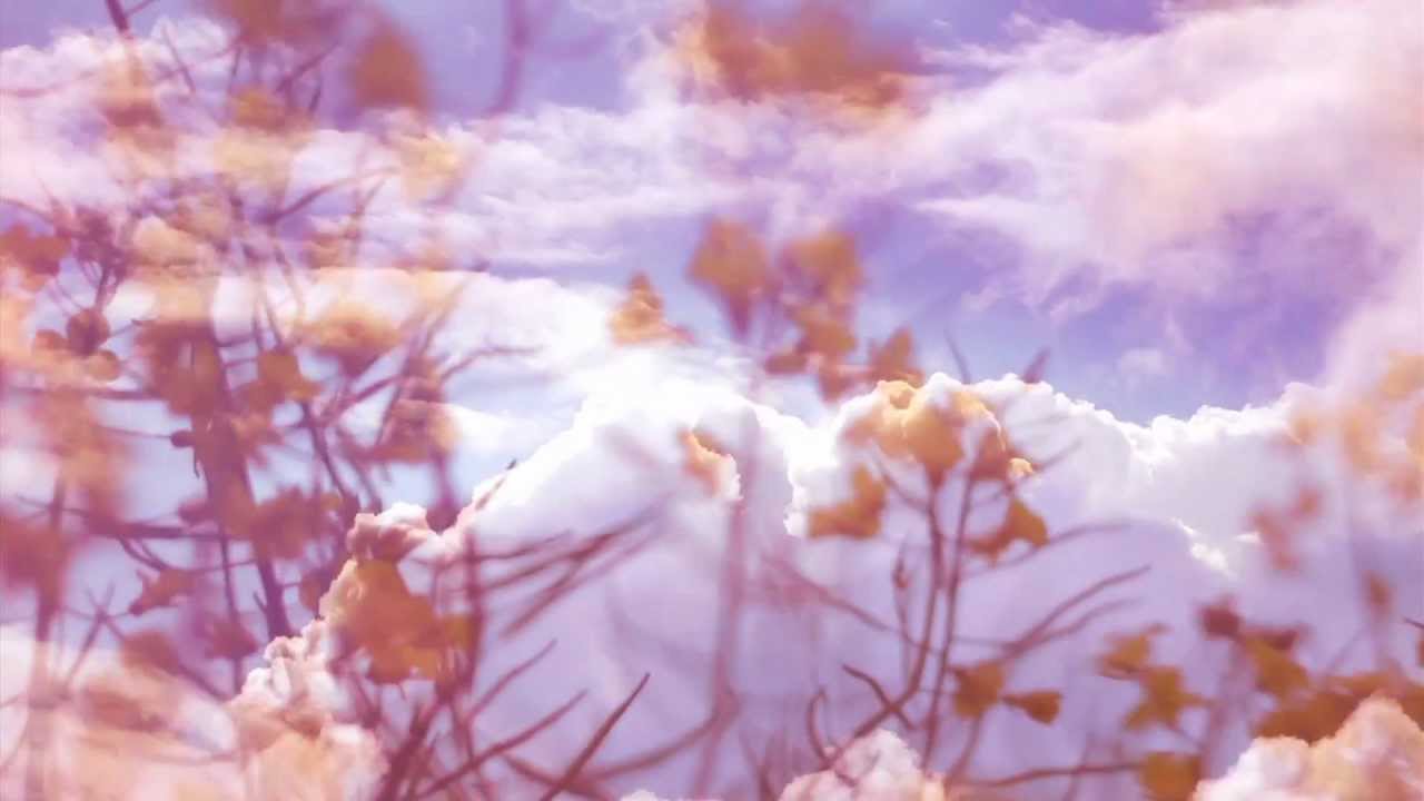 Young Wonder // Lucky One (Official Video)