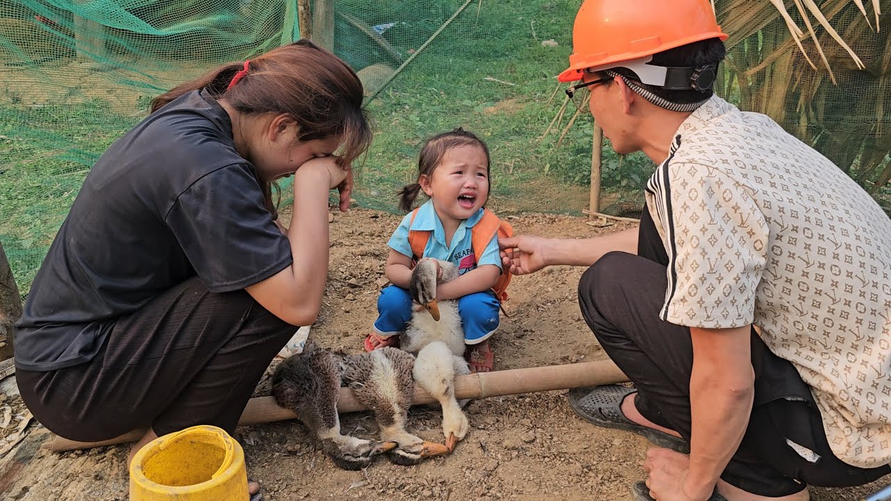 while the mother went to pick up her child and the stray dog pecked the duck