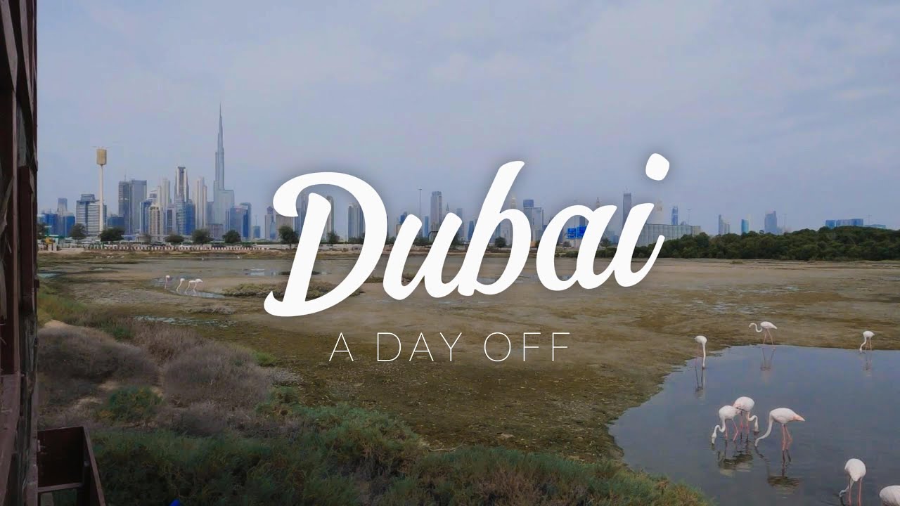 Dubai - Wildlife Sanctuary & Zabeel Palace