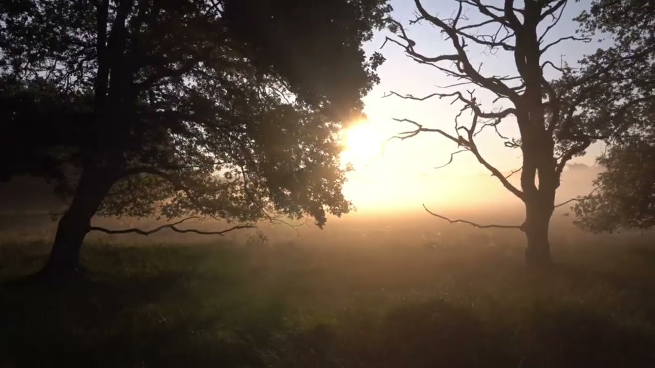 Meri Zindagi Ka Sabse Best Din 😍 | Vlog