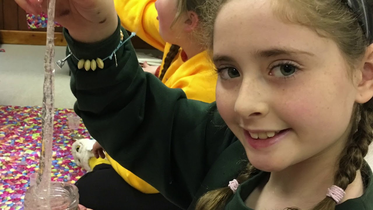 Brownie Pack Holiday 2018