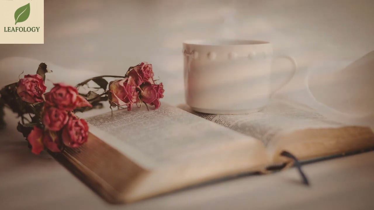 Morning Coffee Saxophone 🍂 | Top 100 Relaxing Saxophone to De-Stress | Leafology
