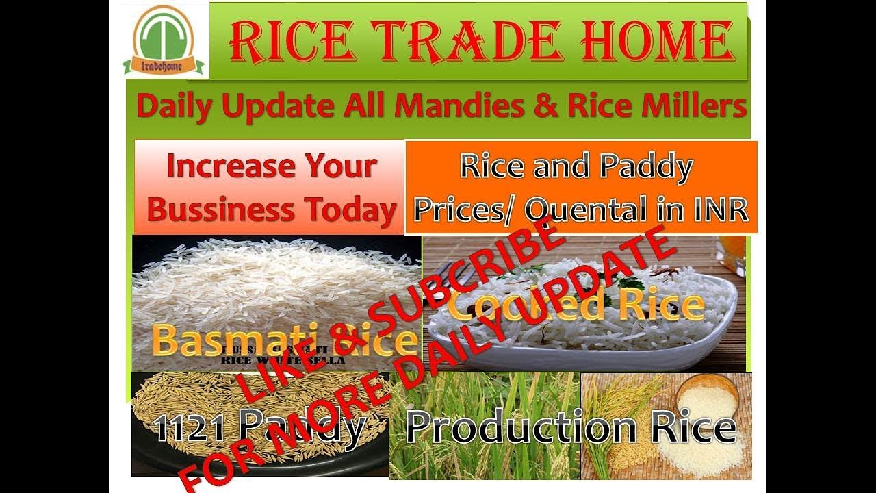 indian 1121 Basmati rice prices online  update daily