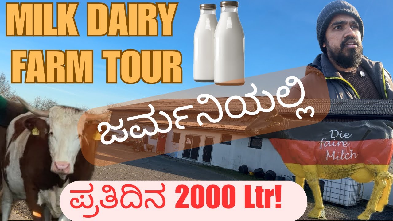 ಜರ್ಮನಿಯಲ್ಲಿನ ಹಾಲಿನ ಡೈರಿ ಫಾರ್ಮ್, 2000 ltr / day #kannada  #germany #india #karnataka 