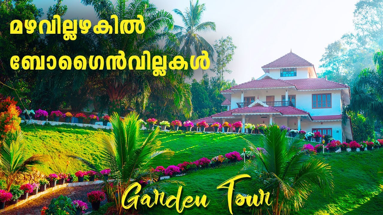 വർണ്ണങ്ങൾ വാരി  വിതറിയ  ബോഗൈൻവില്ല വസന്തം  കാണാം ||GARDEN TOUR MALAYALM ||BOGAINVILLEA GARDEN TOUR