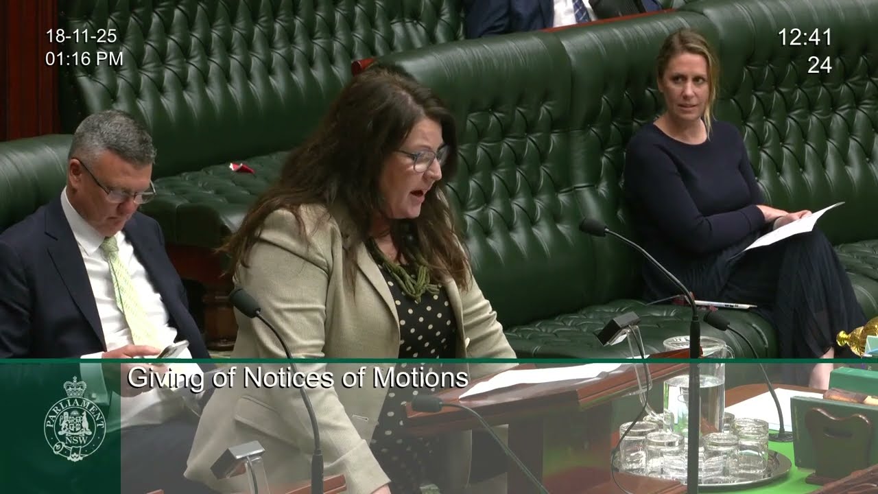 Tamara Smith MP: Addressing Neo-Nazi Ideology and Social Cohesion in NSW