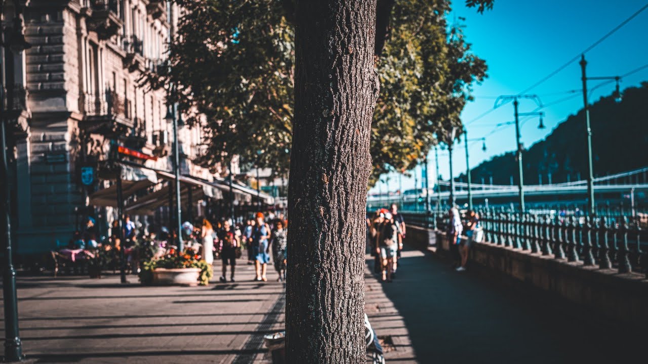 The last rays of summer - Short mood video with photos 