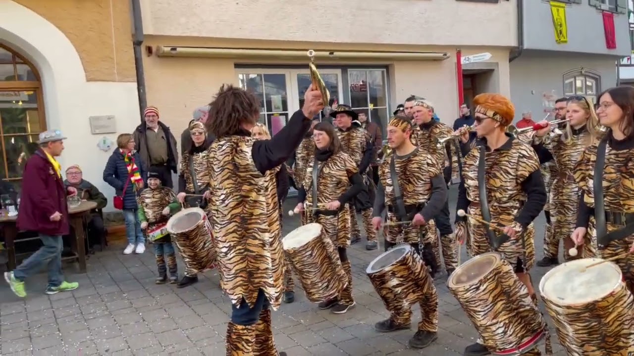 FZ Daugendorf am Fasnetsdienstag 2024 in Riedlingen 7. Video