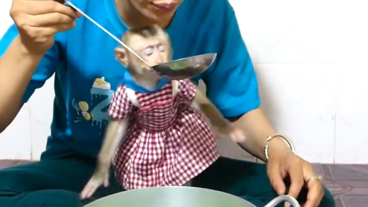 So delicious, mom!! LIORA, the smart kid, helped her mom taste the food her mom cooked