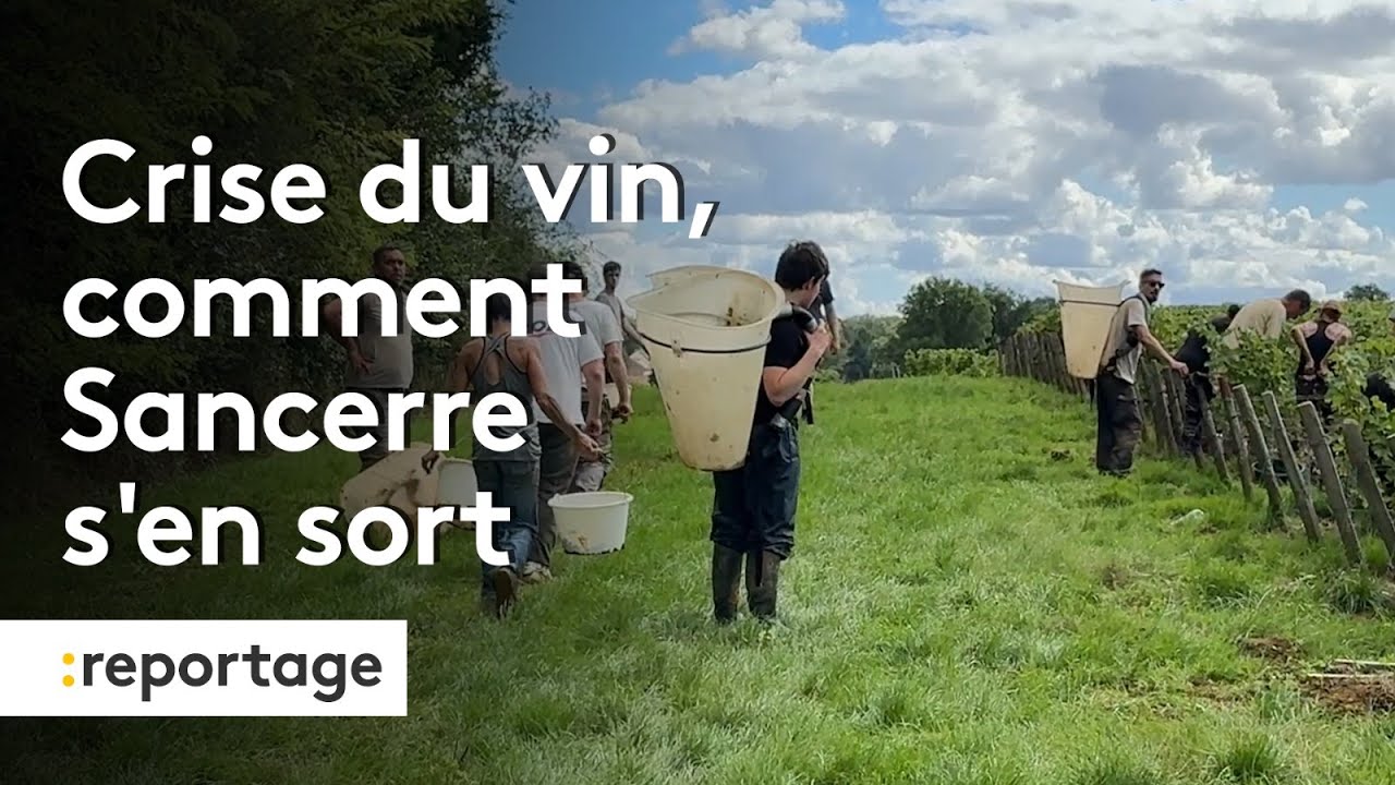 Crise du vin : comment Sancerre s'en sort
