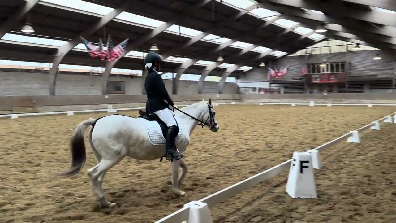Dit is de proef PD 4 op de manege 