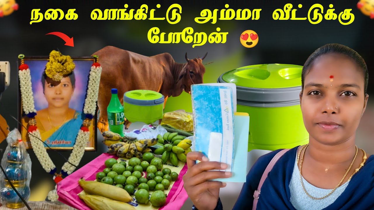 அம்மா வீட்டுக்கு போறேன் 😍 // Sri Cyber Tamizhachi 