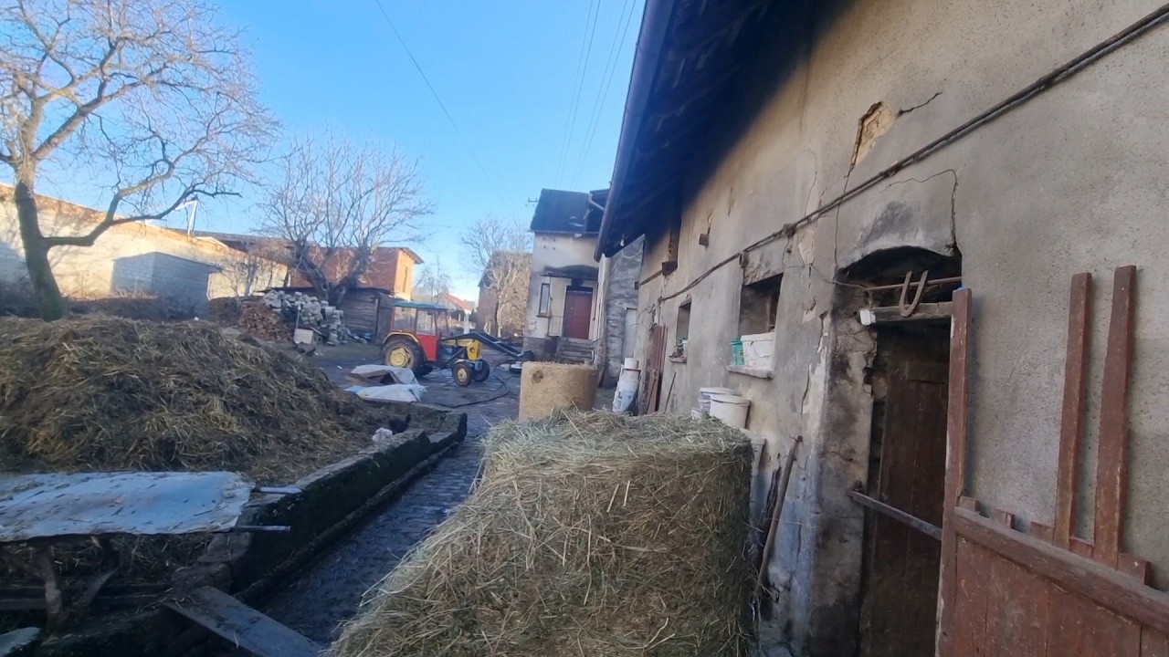 Raz deszcz raz słońce/ nie spać, robić, zapier.....!!!!!!!!!!!