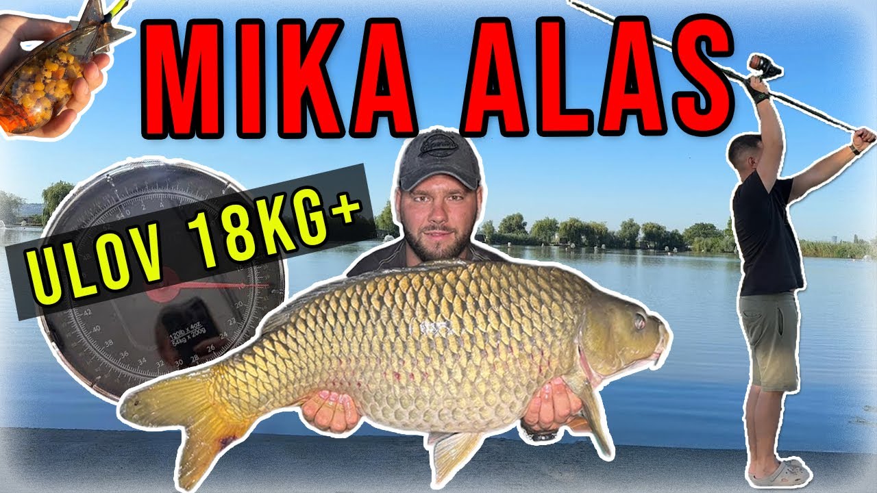 Mika Alas – Težak Ribolov, Brutalni Ulovi 15kg+ | Šaranski Ribolov