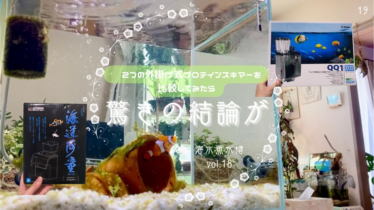 2つの外掛け式プロテインスキマーを比較してみた✳︎海水魚水槽✳︎30センチキューブ水槽✳︎ぴっぴアクアリウム✳︎2023年6月