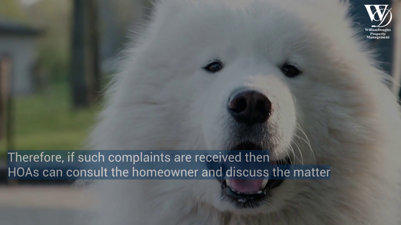 Pet Safety in HOAs | HOA Association Management | Charlotte NC