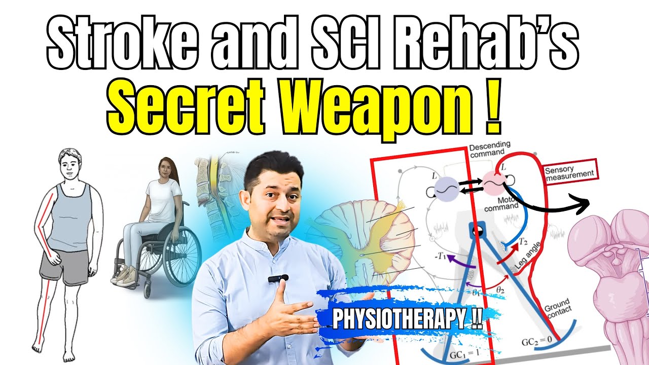 Central Pattern Generators: How Stroke & SCI Patients Can Walk Again.