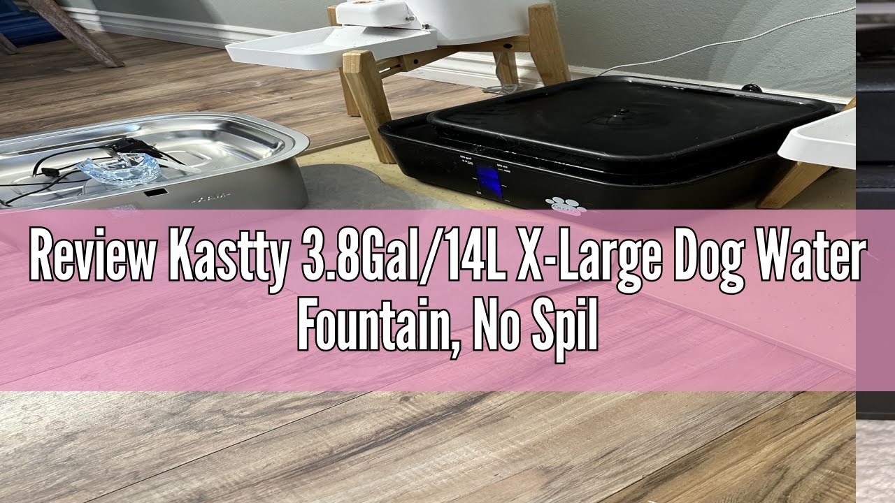 Review Kastty 3.8Gal/14L X-Large Dog Water Fountain, No Spill Dog Cat Pet Fountain with 9