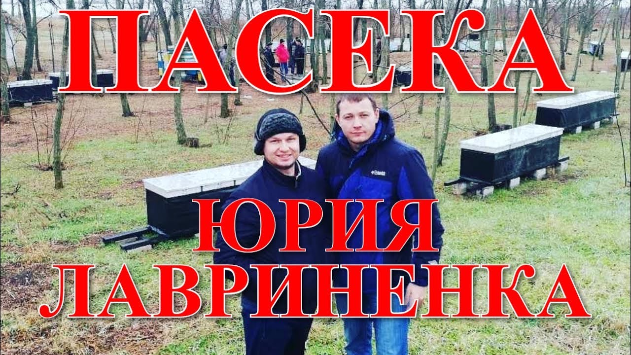 На пасеке Юрия и Павла Лавриненко / FABRO