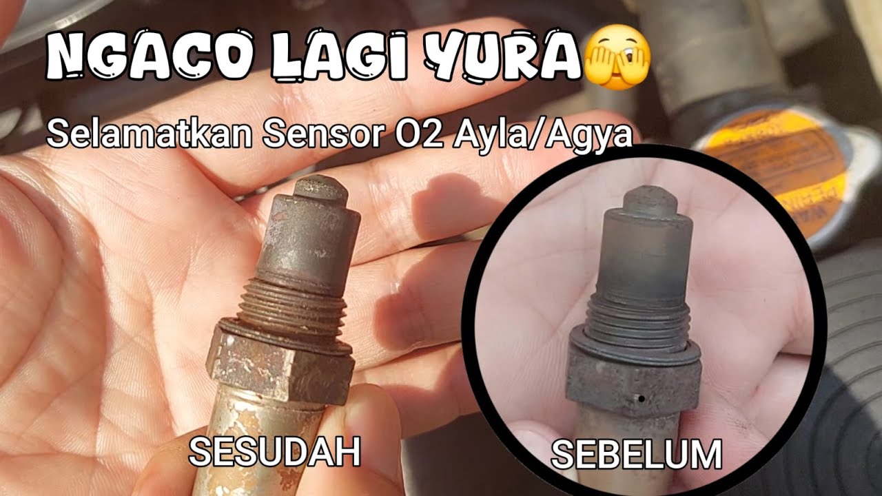 Sensor O2 Ayla/Agya Ngaco lagi Yura