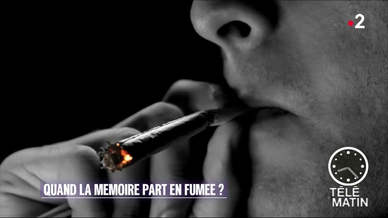 Sant&eacute; - Arr&ecirc;t du cannabis : la m&eacute;moire revient !