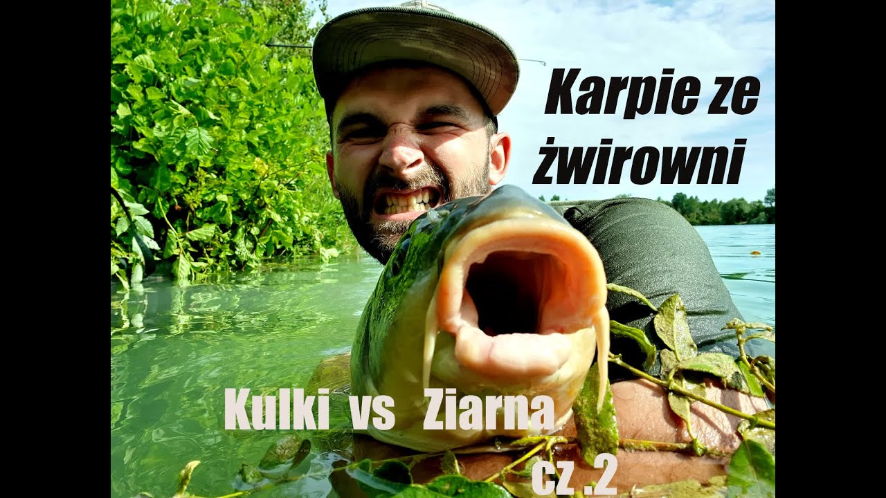 Karpie ze  Żwirownia cz. 2   \\  kulki vs. ziarna // Branie hol  na żywo