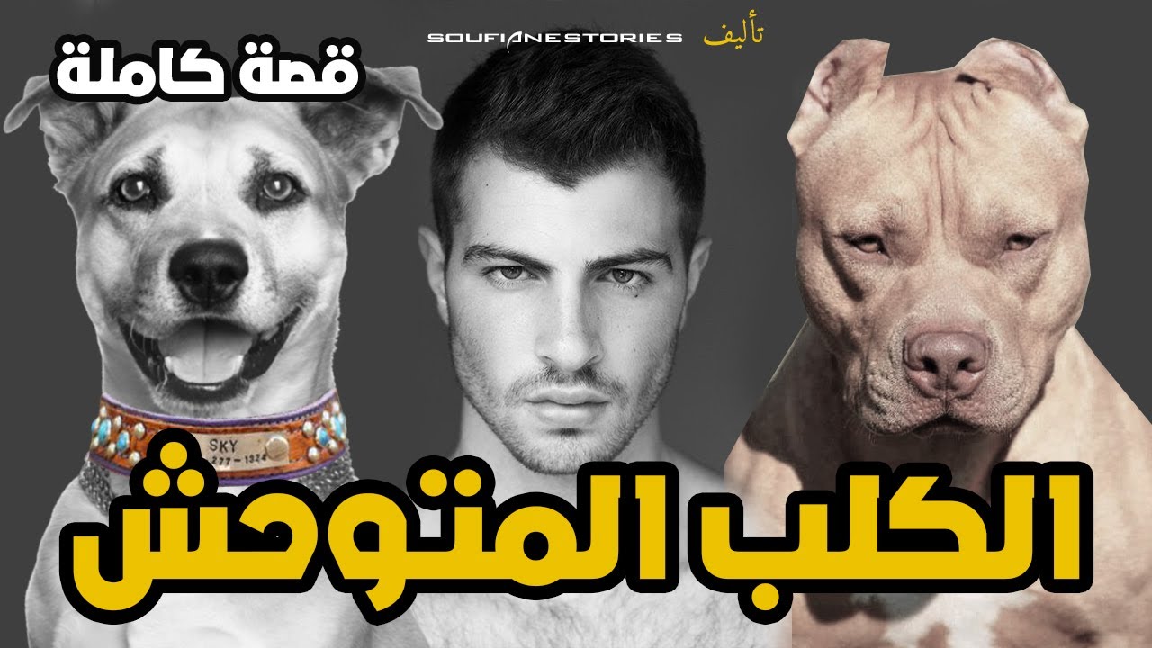 القصة 68 - الكلب المتوحش | كاملة