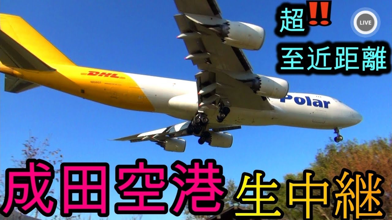【2026/02/21❶】 至近距離‼️く✈️成田空港 🛬本生📸中継 ライブ配信 【✈️Narita international airport ⌚𝐫𝐞𝐚𝐥 𝐭𝐢𝐦𝐞📸 Live】