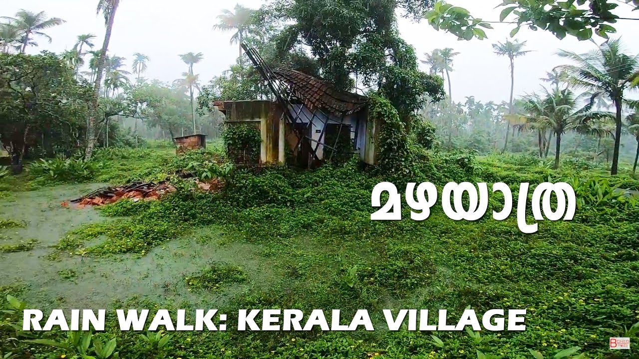 Rain Walk through Kerala Village || മഴയാത്ര || God's Own Country