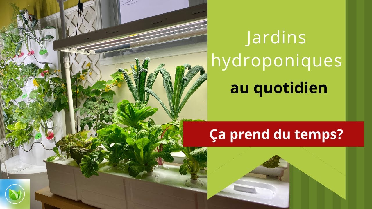 Mes jardins hydroponiques au quotidien