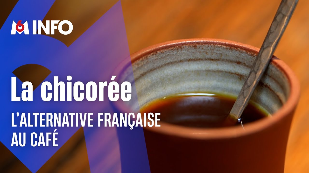Saine, savoureuse et made in France : la chicorée séduit
