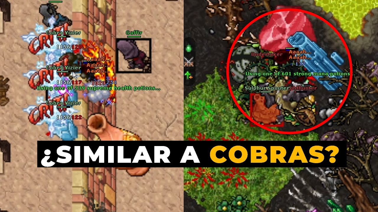 TIBIA / 15 DATOS QUE QUIZÁS NO CONOCÍAS
