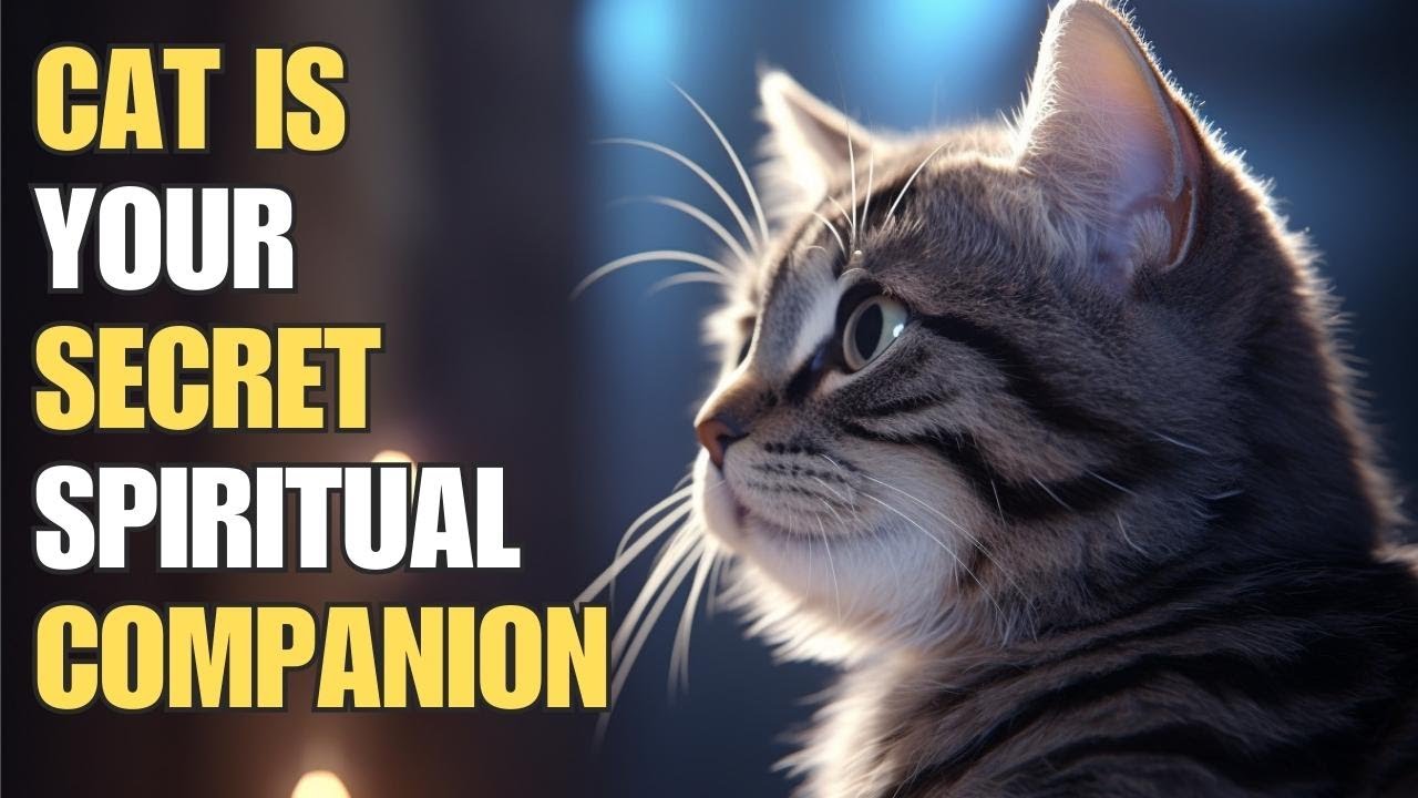 Why your CAT is more than a PET: The spiritual GUARDIAN in your home! 😺