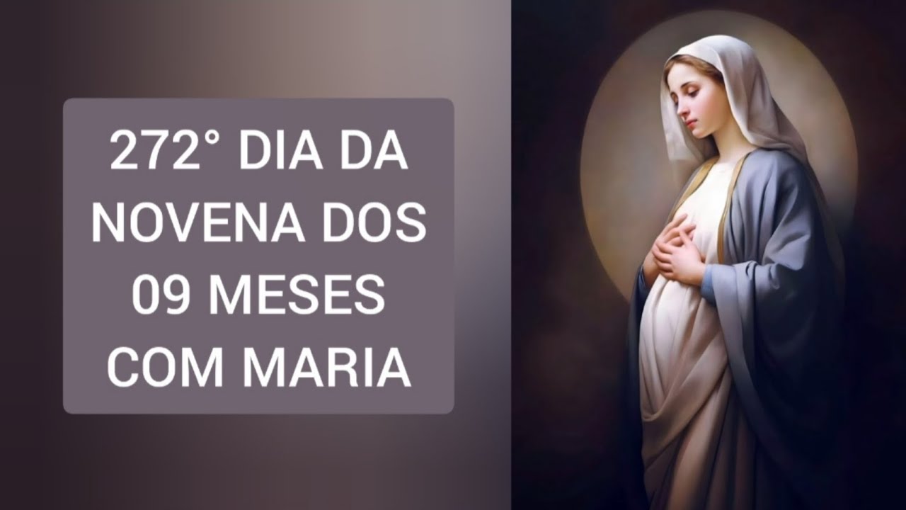 272° dia da novena dos 9 MESES COM MARIA 🙏🏼🌹