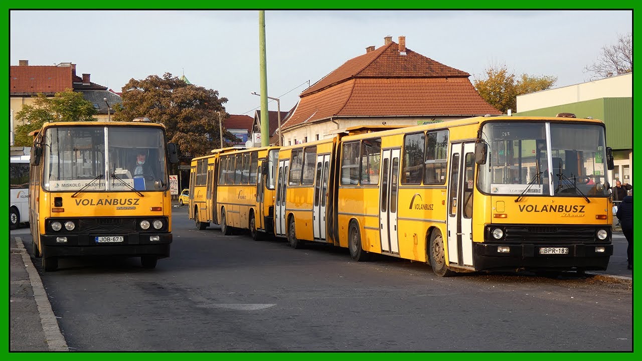 Ikarus buszok Miskolcon - 2020 Október (2. rész)