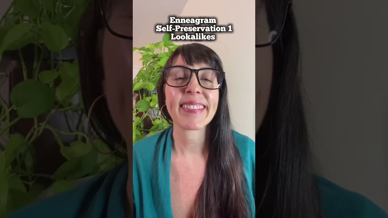 Enneagram Self-Preservation 1 Lookalikes 