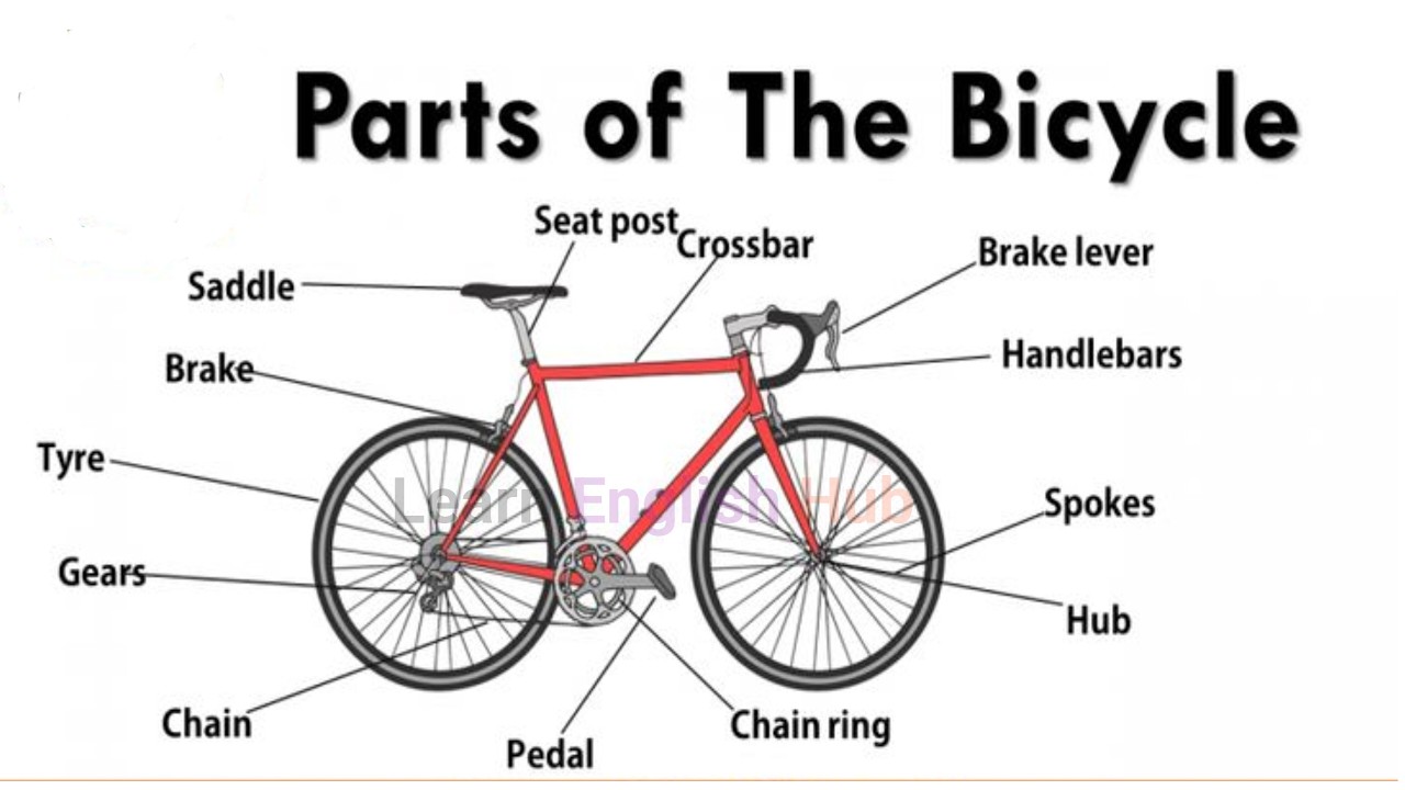 “Learn All Bicycle Parts Easily – Handlebar, Pedal, Chain & More!”