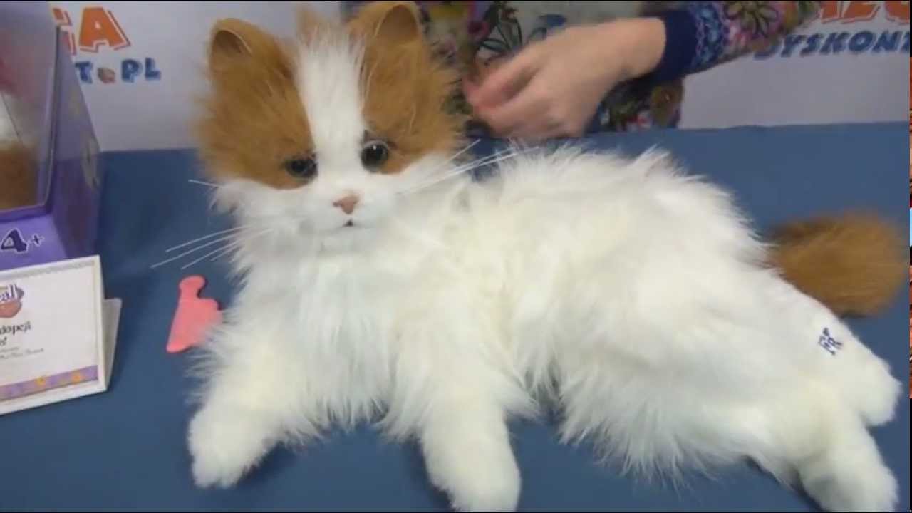 Kot interaktywny Lulu - Fur Real Friends - Hasbro - www.MegaDyskont.pl - sklep z zabawkami
