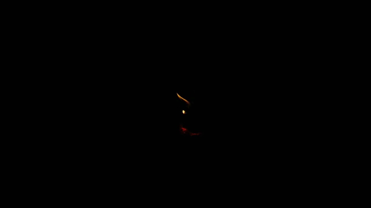 🔥 Cozy Fireplace Soundscape 12h | Black Screen Crackling Logs for Relaxation, Work, Writing & Sleep