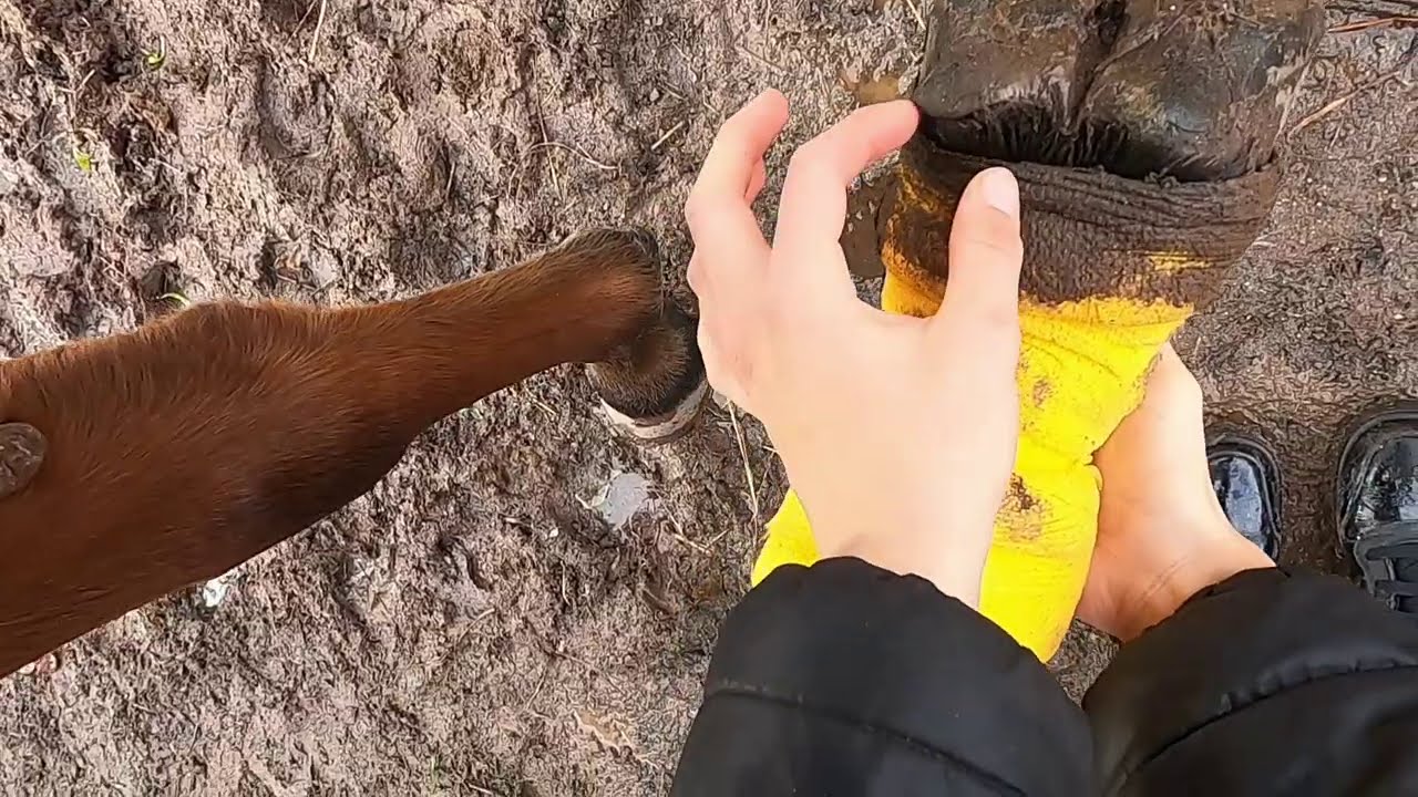Mały wypadek Hakamady