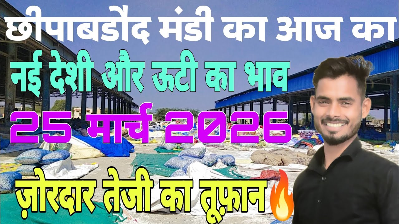 ज़ोरदार तेजी🔥छिपाबडौद मंडी का आज का नई लहसुन का भाव | Aaj Ka Ooty Lahsun ka bhav | Lahsun ka bhav 