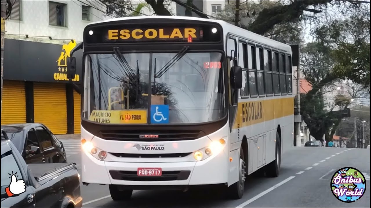 Ônibus Escolares #3