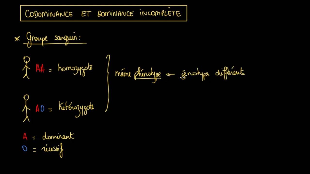 Codominance et dominance incomplète