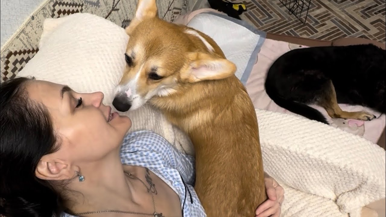 Дорогие и милые женщины,с Праздником вас🙏🤗❤️