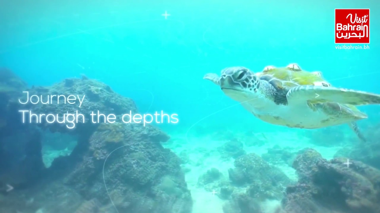 Pearl Diving Experience | Visit Bahrain